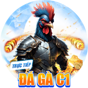Đá gà c1