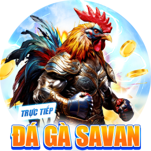 đá gà savan